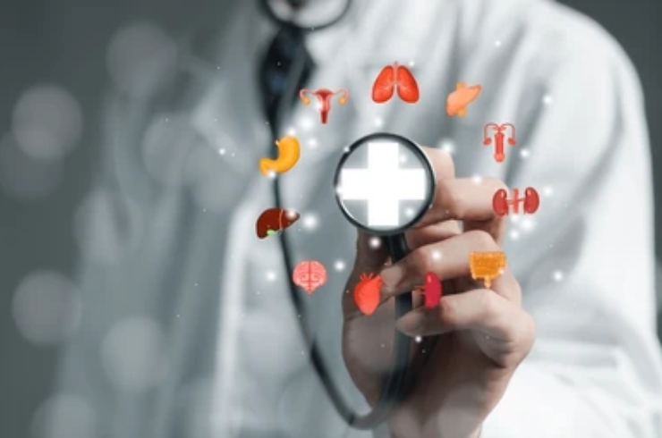 Preventive Ayurvedic care in Bangalore